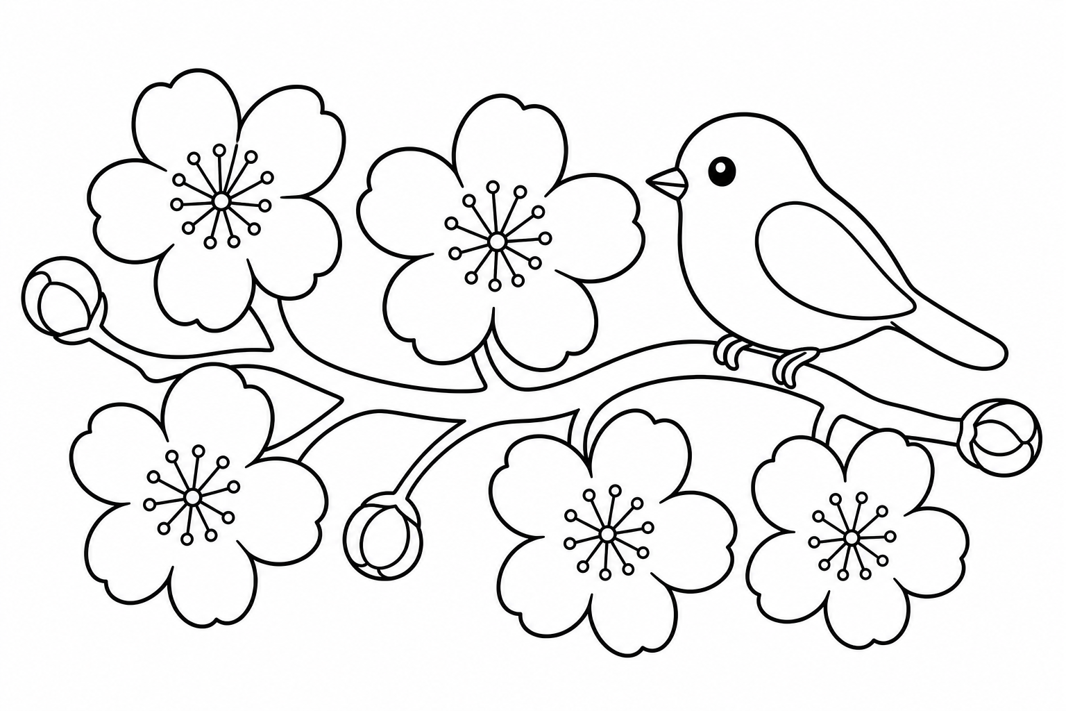 Spring blossom branch — easy spring coloring page (ages 2–5)